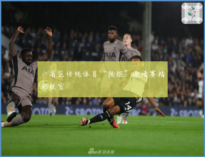 六省区传统体育“抢枢”邀请赛精彩收官